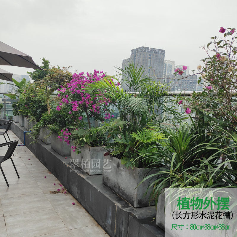 水泥花槽植物外摆/植物隔断/外摆围栏隔断/室外可移动花槽/植物墙