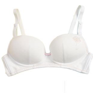 纯棉舒适小清新青春期初中高中生无钢圈文胸花少女胸罩聚拢无钢圈