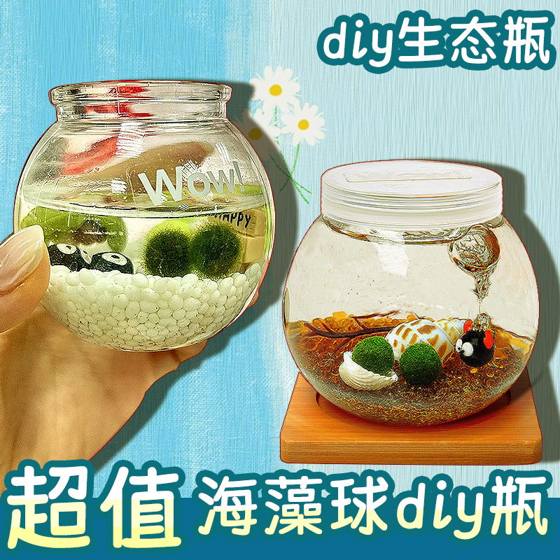 海藻球生态瓶diy材料微景观摆件