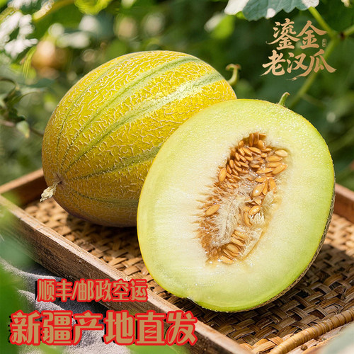 吐鲁番老汉瓜软糯香甜瓜入口即化
