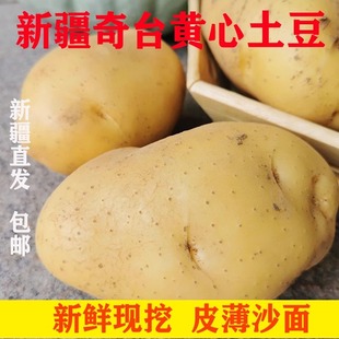新疆新鲜奇台黄心土豆黄皮沙瓤软面现挖大盘鸡芋芋专用洋芋农家种