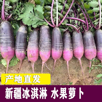 新疆冰淇淋萝卜水果紫萝卜5斤