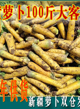 手抓肉饭专用萝卜新疆美食特色