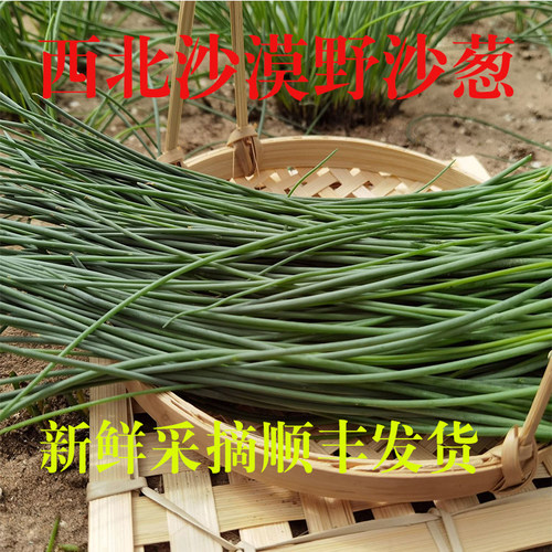 沙漠野菜儿时小香菜农家下饭菜