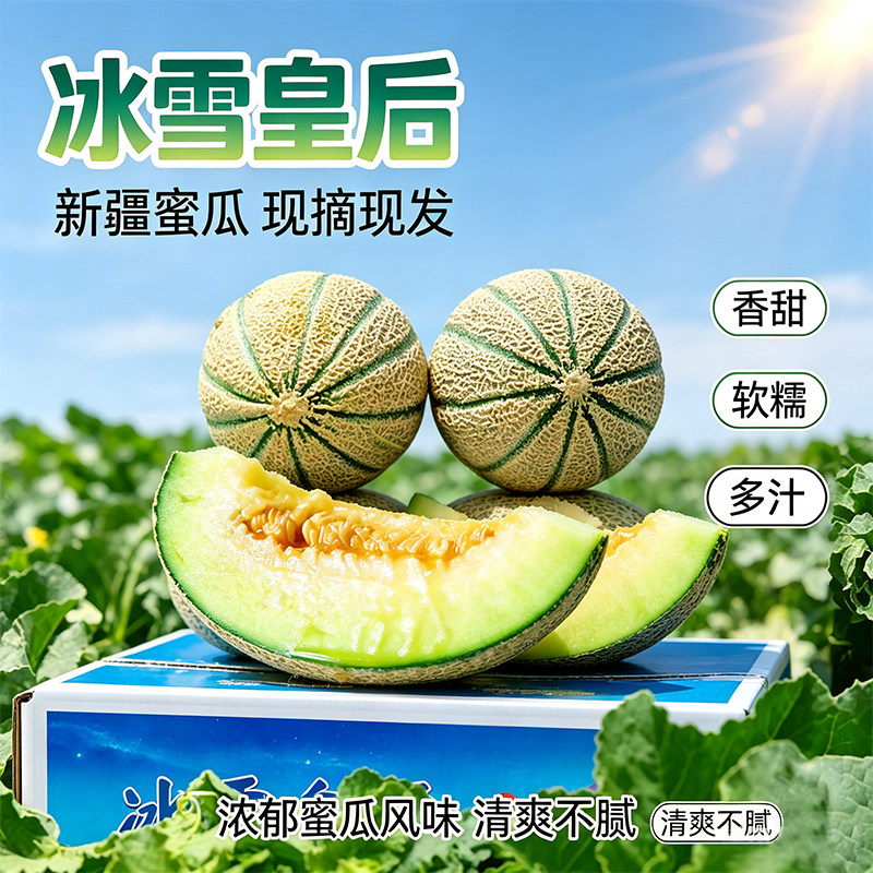 新疆冰雪皇后蜜瓜老汉瓜独特果糖香当季新鲜水果哈密瓜软糯香甜 - 实物图