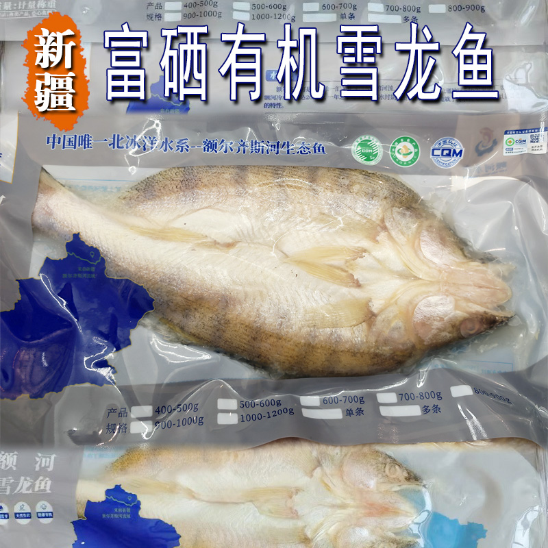 新疆额尔齐斯河富硒有机雪龙鱼