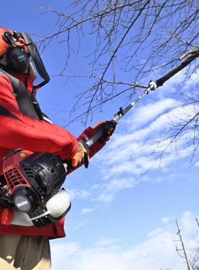 山岛松 日本 进口 高枝油锯 P230S P265SB