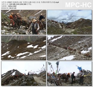 险峻的山脉马帮在山路小道上行走 马帮队列茶马古道 实拍视频素材