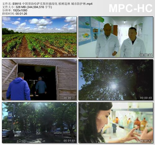 中国帮助哈萨克斯坦实拍 搞绿化植树造林城市防护林 实拍视频素材