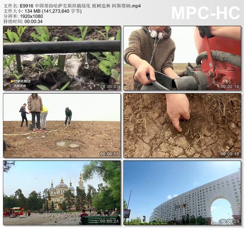 中国帮助哈萨克斯坦搞绿化 植树造林阿斯塔纳 高清实拍视频素材