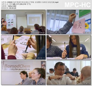 匈牙利米什科尔茨孔子学院 文化整合东西方文化交流 高清视频素材