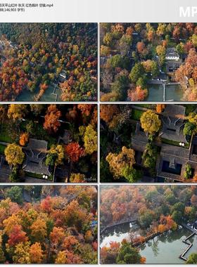 航拍江苏天平山红叶 秋天 红色枫叶 空镜头 4K高清短视频剪辑素材