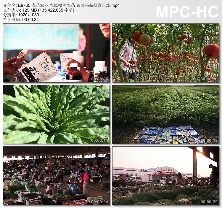 农药农业农民喷洒农药 蔬菜果品批发市场 高清视频实拍素材