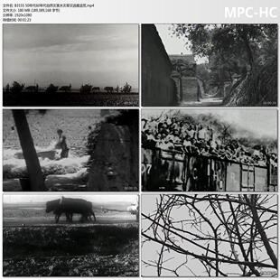 50年代60年代自然灾害水灾旱灾逃难逃荒 历史影像视频素材
