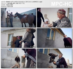哈萨克族牧民的家庭生活骡马农家 金雕鹰猎人 高清实拍视频素材