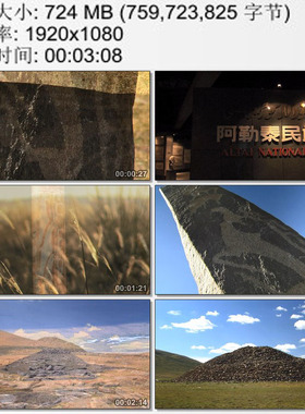 草原鹿石 祖先的陵寝 丧葬文化 阿勒泰民俗陈列 高清实拍视频素材