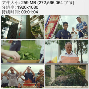 虔誠與敬畏 高清實拍視頻素材 茶農 安溪鐵觀音母樹祭拜儀式