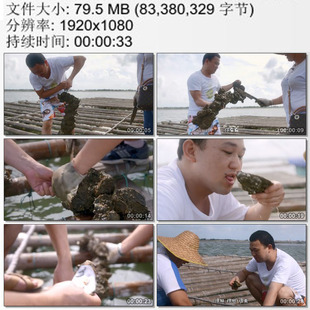 湛江官渡上品生蚝个大肥美 广东美食 高清实拍视频素材
