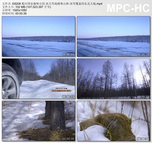 根河国家森林公园冰天雪地极寒山林冰雪覆盖东北大地实拍视频素材