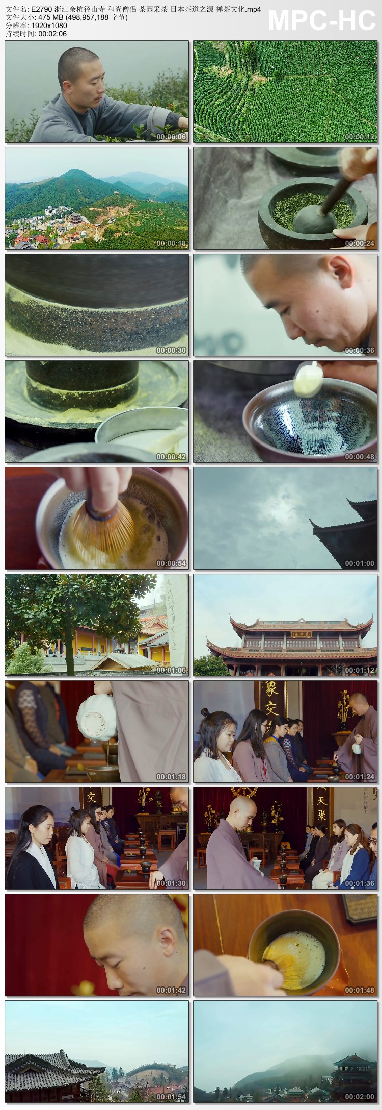 浙江余杭径山寺茶园采茶 日本茶道之源 禅茶文化高清实拍视频素材