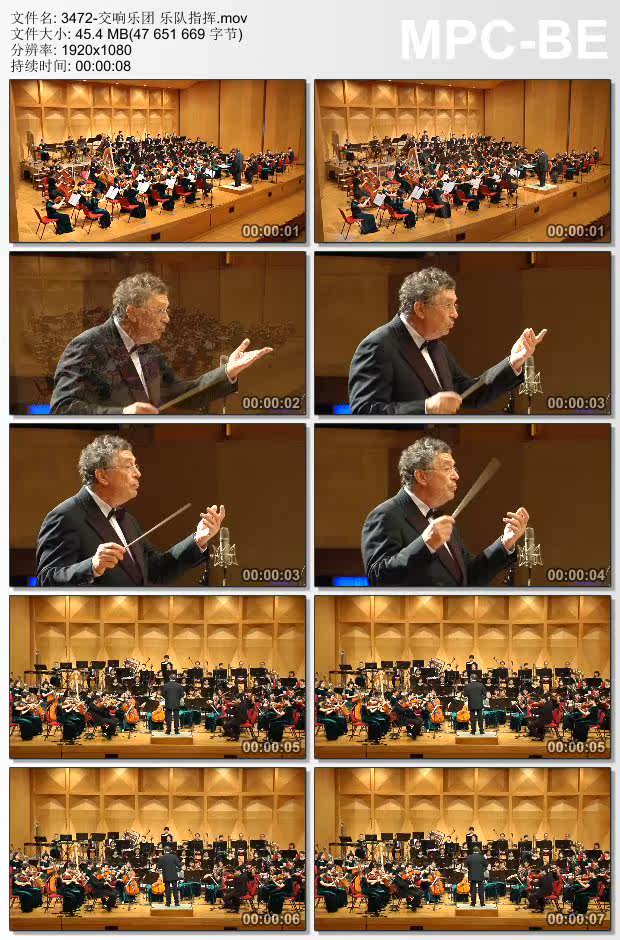 交响乐团乐队指挥 高清实拍视频素材