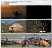 草原牧民骑马奔驰妇女儿童驯服野马 晾晒奶酪 高清实拍视频素材