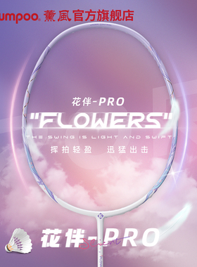 薰风正品专业羽毛球拍全碳素纤维单拍比赛专用羽球拍熏风花伴PRO