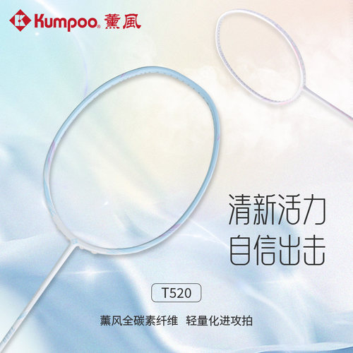 薰风羽毛球拍全碳素T520