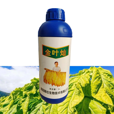 金叶灿 憨烟/黑爆烟 快速落黄 提高成熟度 叶片更容易烘烤 1升/瓶