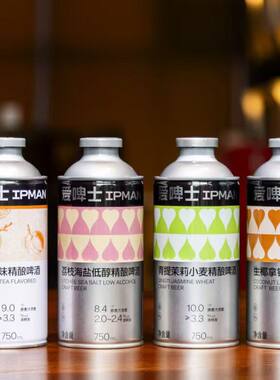 爱啤士精酿果味精酿啤酒750ml*6罐混装各一瓶 夏季尝鲜