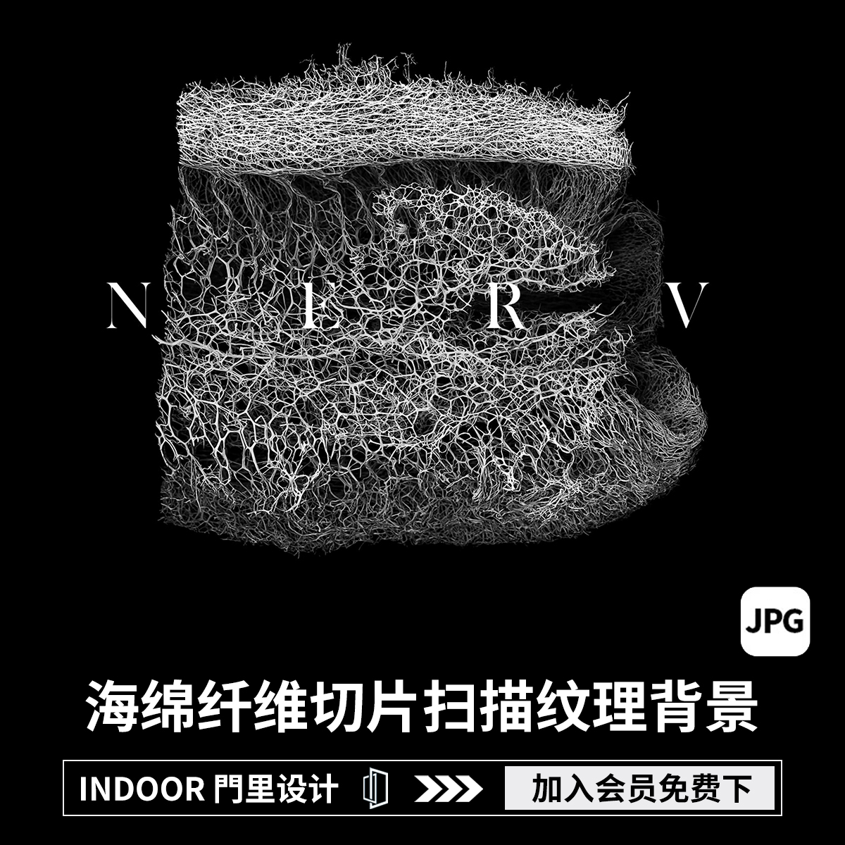 30款高清有机海绵纤维结构图切片扫描纹理背景底纹图片PS设计素材