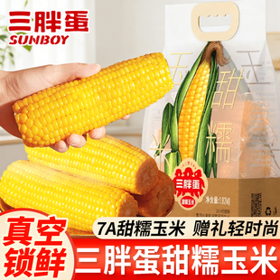 三胖蛋甜糯玉米1.82kg真空锁鲜黄白糯玉米加热即食苞米棒粗粮早餐