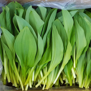 腌制山葱叶 寒葱泡菜 烤肉伴侣 延吉山葱调味