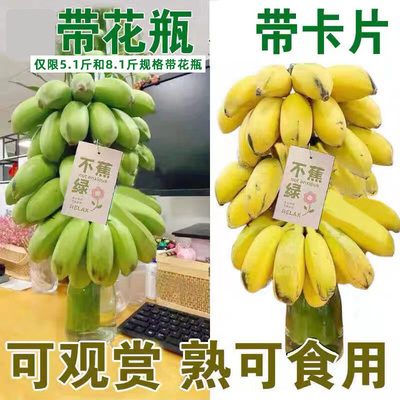 焦绿香蕉带花瓶带卡片