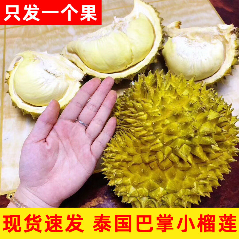 泰国巴掌小榴莲金猫枕山王托曼干尼尧饶姆一整箱六个10斤广西盲盒