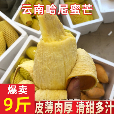 哈尼蜜芒果云南景东新鲜现摘水果当季镇沅特产澜沧芒秋蜜芒晚熟芒