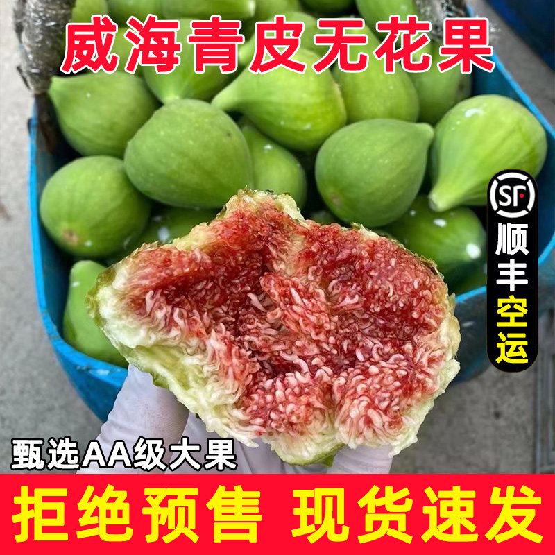 山东威海无花果鲜果青皮绿皮红心顺丰空运包邮烟台大果新鲜现摘
