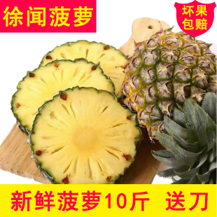 湛江徐闻香水菠萝10斤香甜菠萝新鲜水果非凤梨菠萝蜜除味包邮