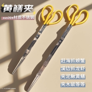黄鳝夹抓泥鳅钳子防滑养防脱工具鳝鱼黄善夹子304不锈钢赶海实用