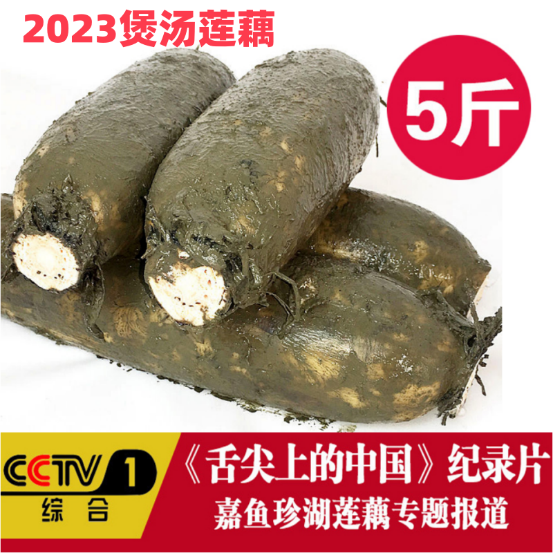 湖北现挖新鲜粉莲藕带泥发货粉糯