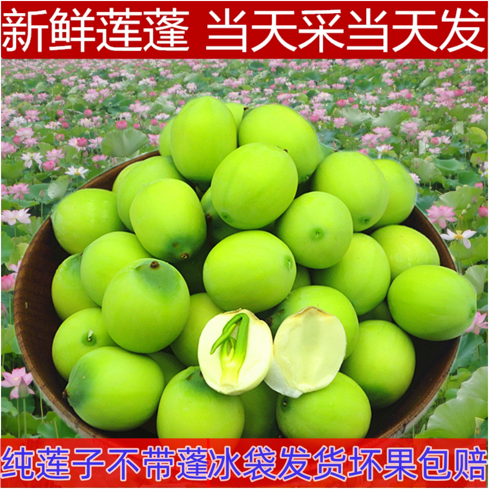 新鲜莲子米农家现发生吃甜嫩莲米