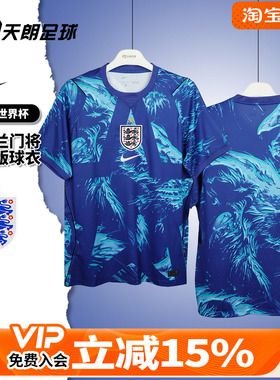 天朗足球耐克26世界杯英格兰球迷版守门员球衣足球服IB5295-489