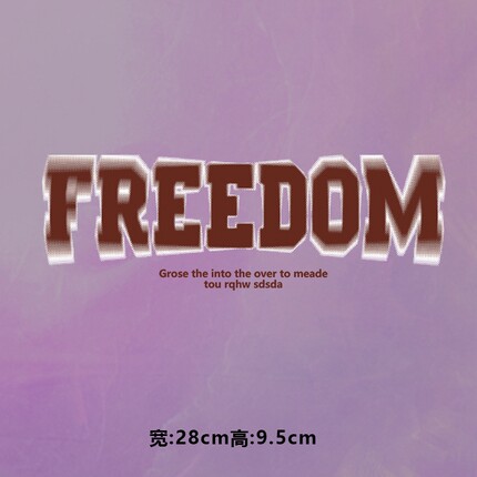 烫画图案新款FREEDOM模糊字母白描边烫画贴印花衣服热转印白墨DIY