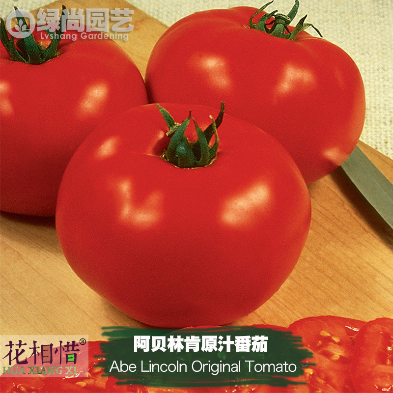 阿贝林肯原汁番茄种子进口传家宝西红柿四季盆栽蔬菜籽瓜果番茄苗