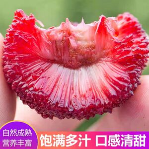 榴星语新鲜水果冷冻杨梅泡酒杨梅水果零食可做杨梅汁饮品1kg