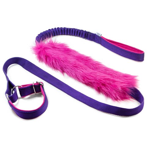 赛级三合一敏捷牵引绳 弹力缓冲拔河狗狗训练牵引带Agility leash