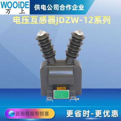 JDZW-10R高压电压互感器