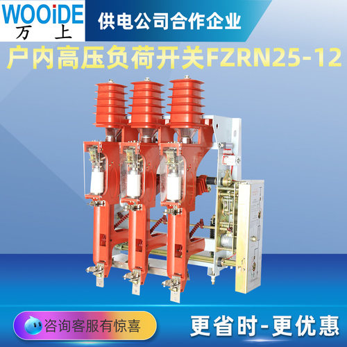 FZN25-12D 户内高压真空负荷开关  FZRN25-12D/T125A 挂墙式10KV