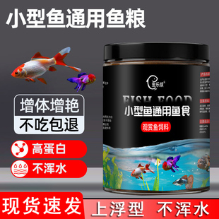 小型鱼通用鱼粮上浮型高蛋白斑马天使观赏鱼专用饲料热带鱼鱼食