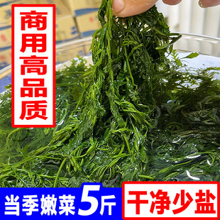 盐渍鞭炮笋荣成马尾藻海藻草菜新鲜小袋包装凉拌商用火锅食材5斤